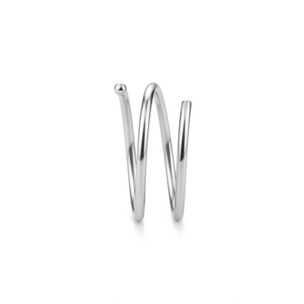 Double nose hoop