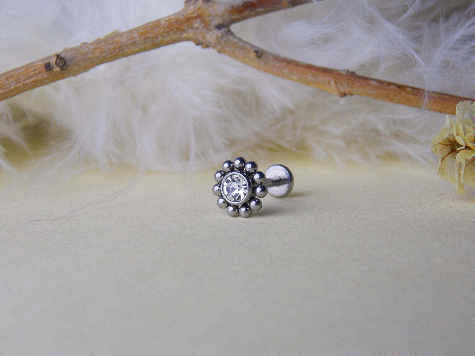 DSCN0406 Royal round - Image 1