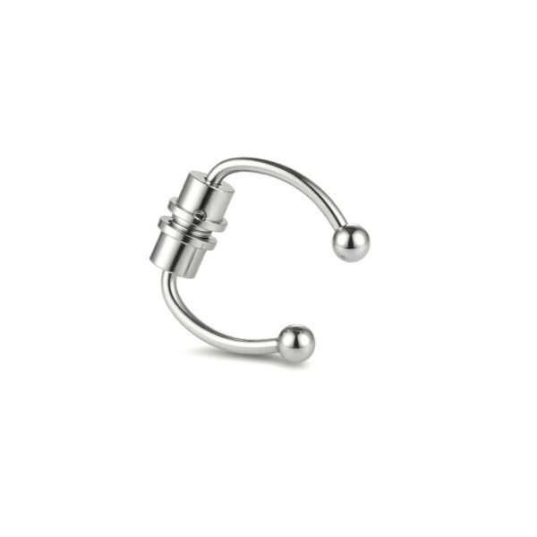 magnetic fake septum