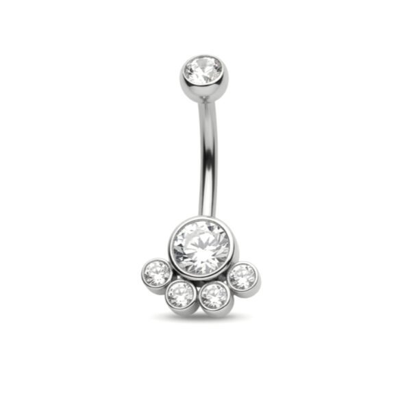 The Sparkling Paw