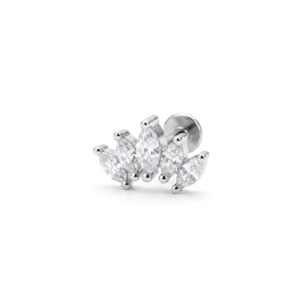 silver big crown