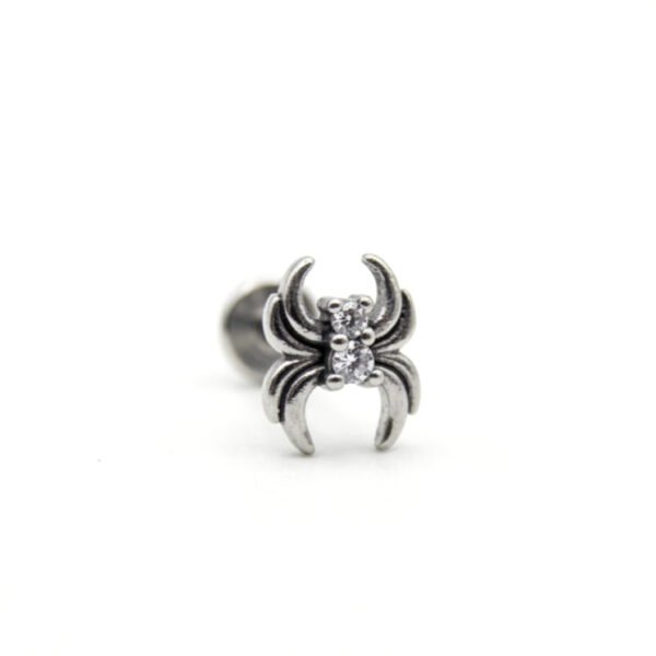 tiny spider