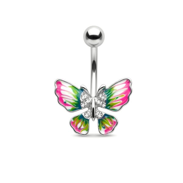 colorful butterfly belly